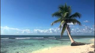 ♥♥ Relaxing 3 Hour Video of Tropical Beach with Blue Sky White Sand and Palm Tree
