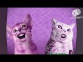 Preview 2 numa cat in center effects