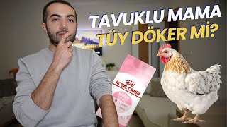 Tavuklu Mama Tüy Döker Mi? (TAVUKLU MAMA KULLANIMINDA NE OLUR?) by VOLİPET - Ali Aktas 3,241 views 3 months ago 5 minutes, 41 seconds