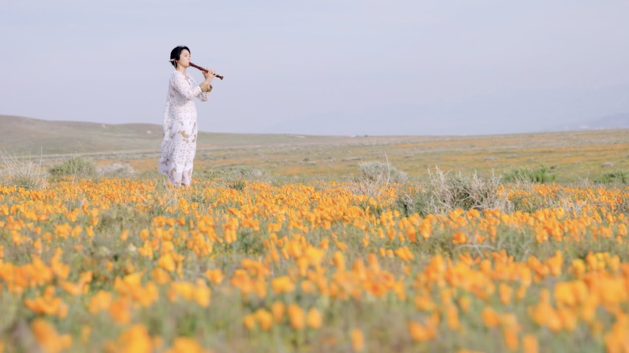 YUKI Recorder Sounds “Telemann-Recorder Sonata In C Major” /テレマン「リコーダーソナタハ長調」柴本幸・リコーダー