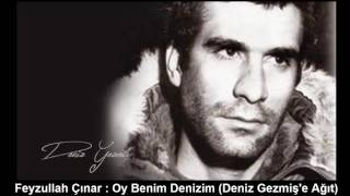 FEYZULLAH ÇINAR : OY BENİM DENİZİM Resimi