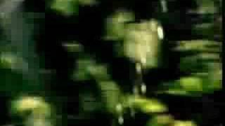 Islam in Europe - When Muslims Ruled in Europe Part 1/11