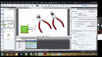 Infosemantics Captivate Widgets: Custom Cursor