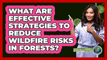 What Are Effective Strategies To Reduce Wildfire Risks In Forests? - Earth Science Answers