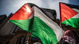 Extreme Left-Wing Ideologues Pro-Palestine Protests Demonstrate Hate For The West