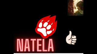 Emulador de Atari jaguar iratajaguar
