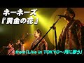 ネーネーズ『黄金の花』from「Live in TOKYO~月に歌う」