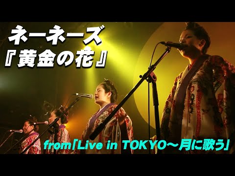 ネーネーズ『黄金の花』from「Live in TOKYO～月に歌う」