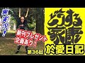 大河ドラマ『どうする家康』第36回「於愛日記」裏実況!☆新刊プレゼント企画あり!