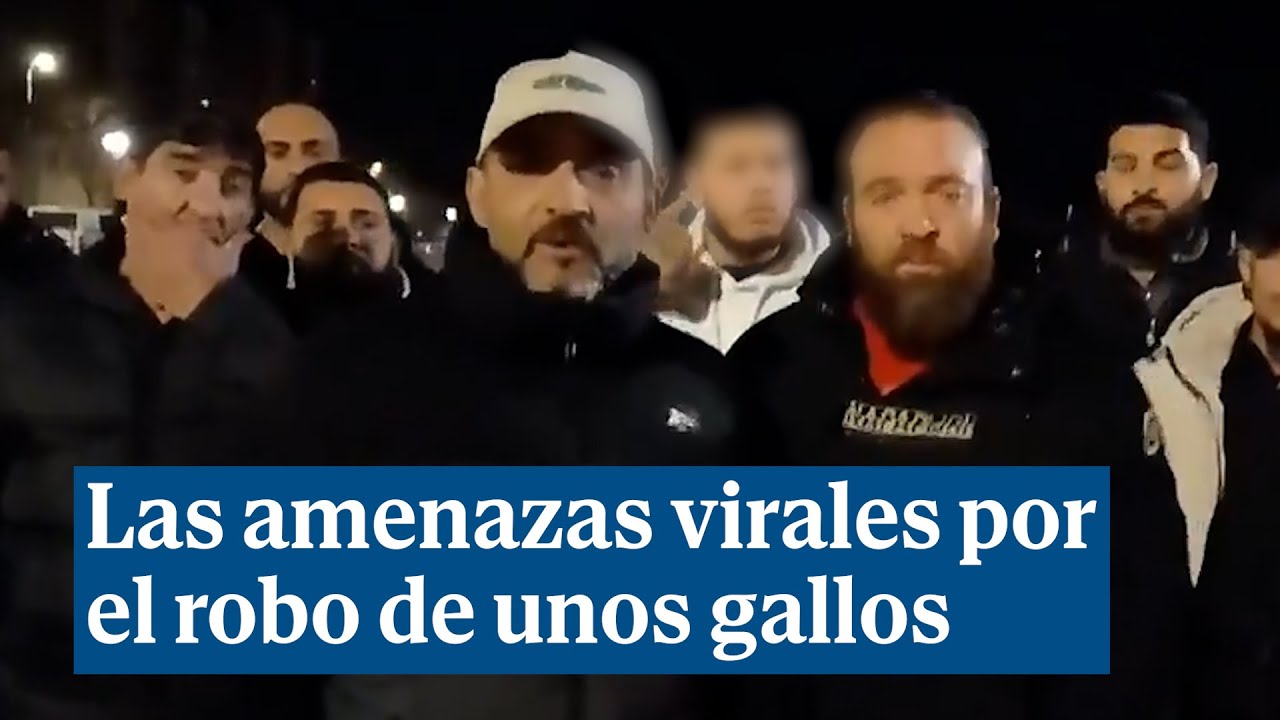Las amenazas virales de una familia de etnia gitana por el robo de sus gallos de pelea en Valladolid