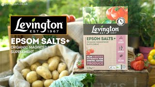 How To Use Levington Epsom Salts Organic Magnesium Supplement For Plants Love The Garden