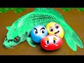 Animal Eggs Doodles, Pыбы передают угря, Готовка чудак с участием фрукты Doodland - Funny Video