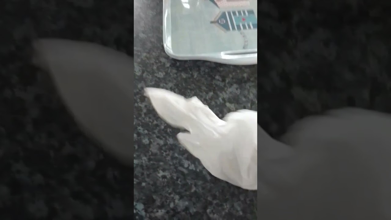 Cornish Vlog No.8½: A Nice Taste Of Maryland's Cookies!