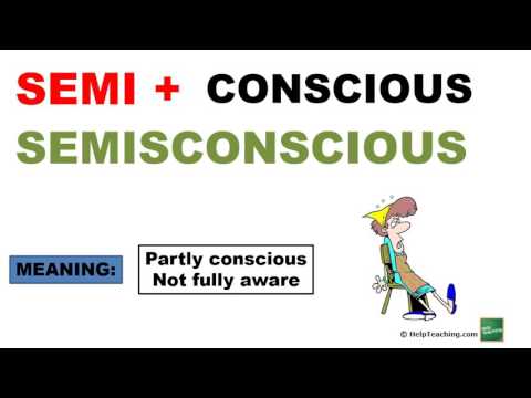 Vocabulary Lesson: The Prefix SEMI-