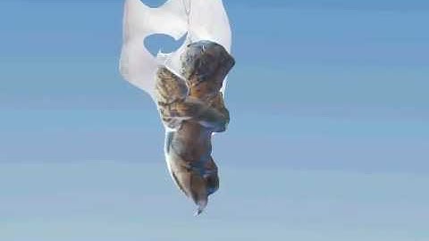 123D Catch - Angel on window experiment