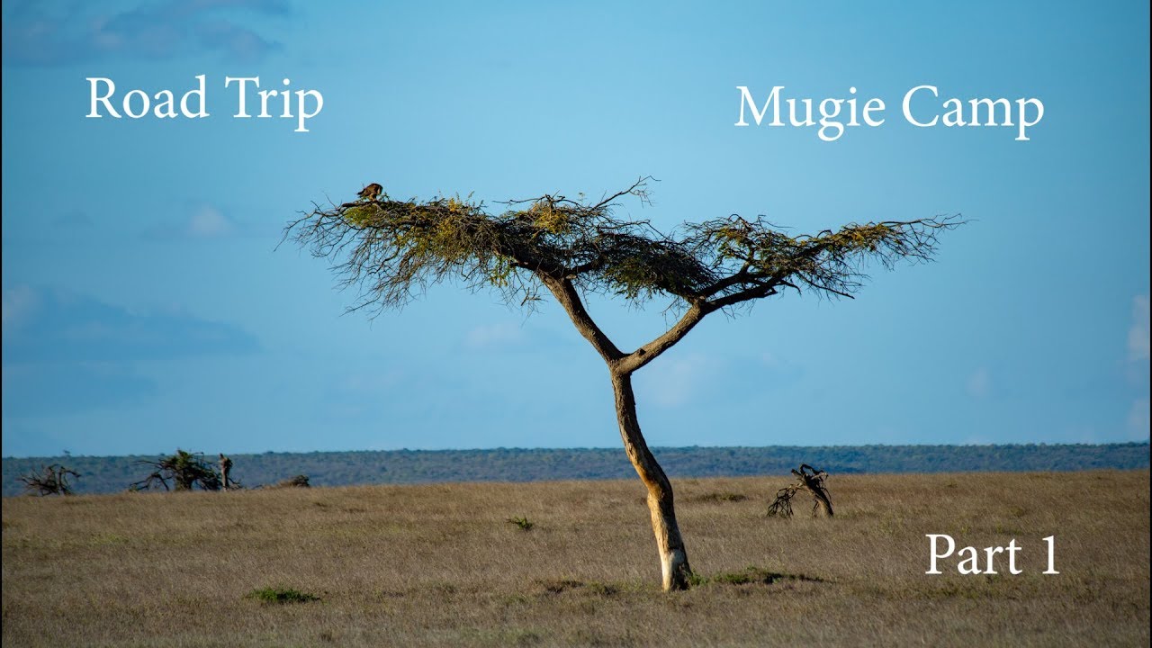 Kenyan Adventure Ep33 - Road Trip Part 1 - Mugie Camp