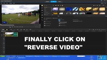 Corel VideoStudio Reverse Function