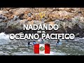 Así es NADAR CON LOBOS MARINOS EN EL OCEANO PACIFICO | PERU #2