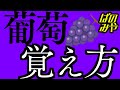 【解説】漢字「葡萄（ぶどう）」の覚え方