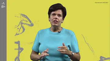 Como se divide o direito processual?