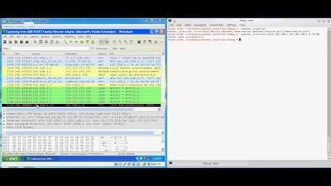 Proxytype Blog - Packet Injection with c