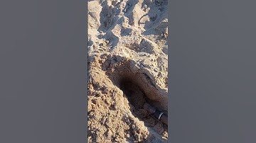 It was hidden in the sand!