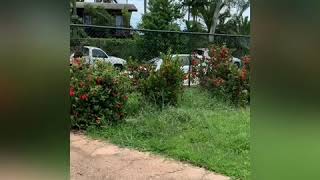 2 Pelham Court, Karama 2 Pelham Court, Karama