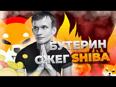 Интервью Виталик Бутерин сжёг 50 Shiba Inu | CoinEx Перевод