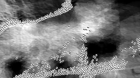 Grape Yield Map Stochastic Simulation