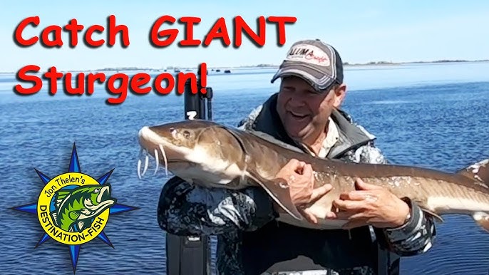 How to Set Up for Sturgeon Fishing 