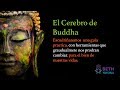 El Cerebro de Buda - Clase #1