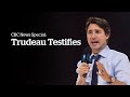 Trudeau, chief of staff testify over WE Charity controversy