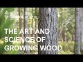 The Art and Science of Growing Wood