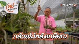 กล้วยไม้หลังเกษียณ | ลุยไม่รู้โรย