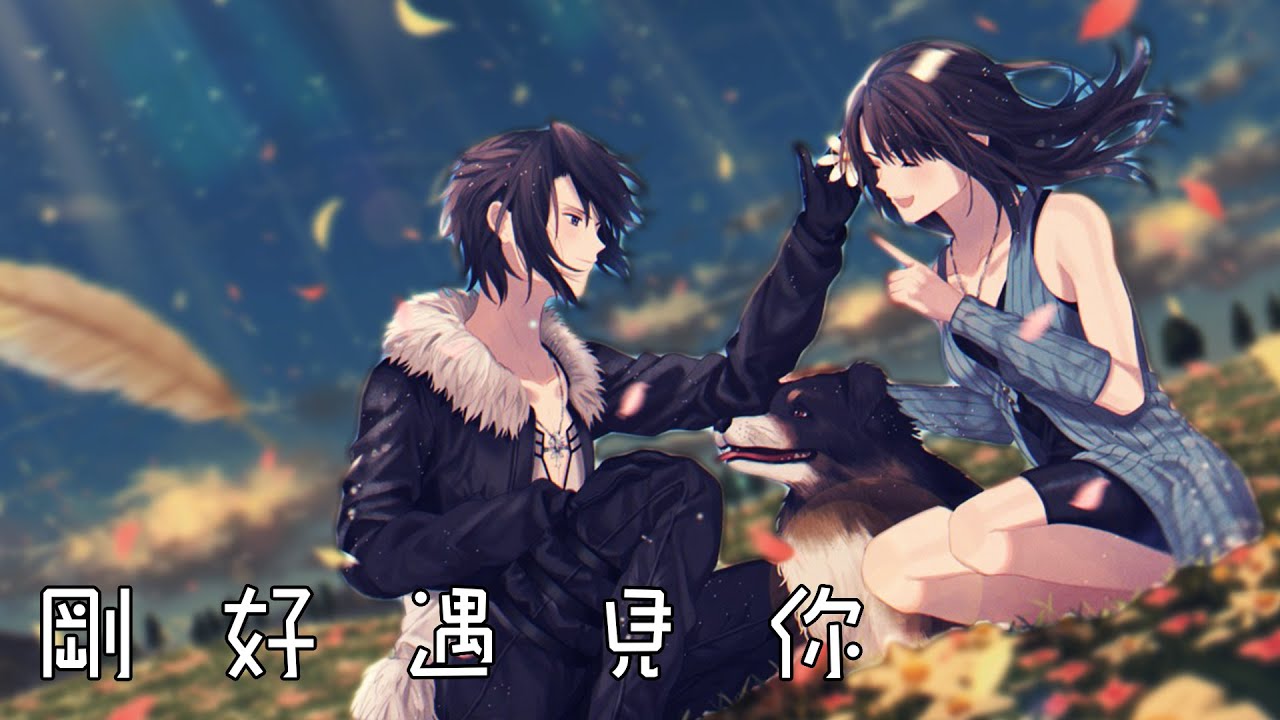 奈特Nightcore-剛好遇見你