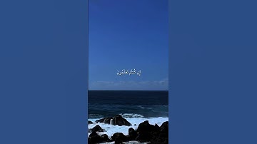 #قرآن #علي_جابر #تلاوة_خاشعة #القرآن_الكريم