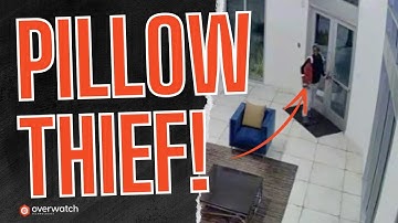 Funny Pillow Thief Stopped By Video Guard | Proactive Video Monitoring in Action