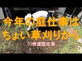 #984【10倍速タイムラプス庭仕事】陽気に釣られて、ちょっとだけ草刈り