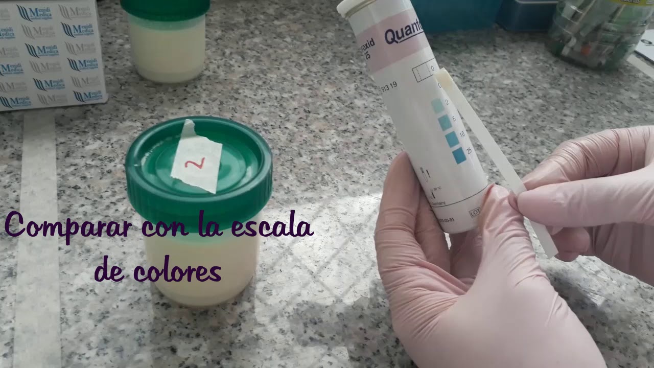 Determinación de adulterantes en leche - YouTube