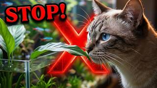 Detailed Is Your Aquarium Killing Your Cat? 7 Toxic Plants to Avoid! Details