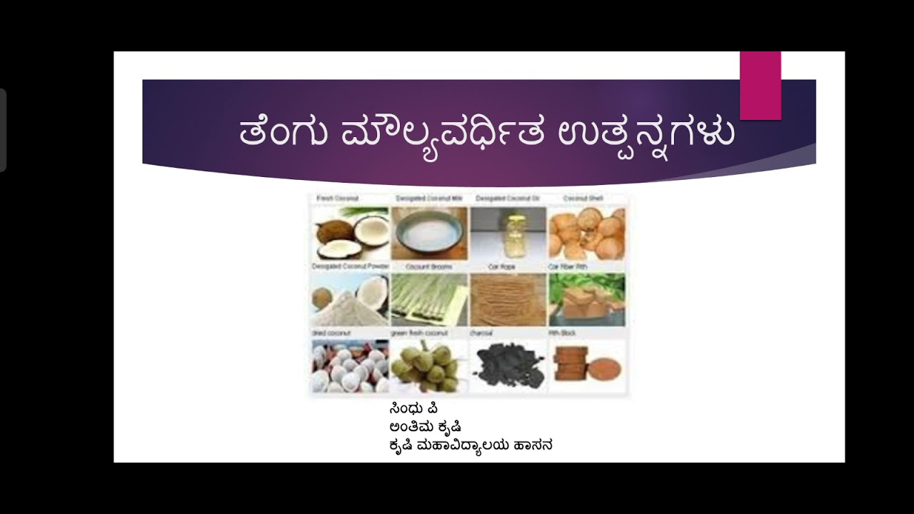 coconut value added products - YouTube