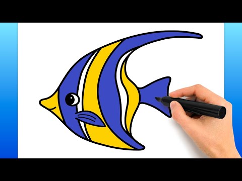HOW TO DRAW AN ANGELFISH: Easy Step by Step Drawing Tutorial