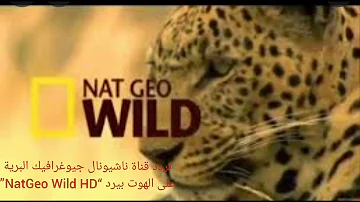 تردد قناة ناشيونال جيوغرافيك البرية على الهوت بيرد NatGeo Wild HD 