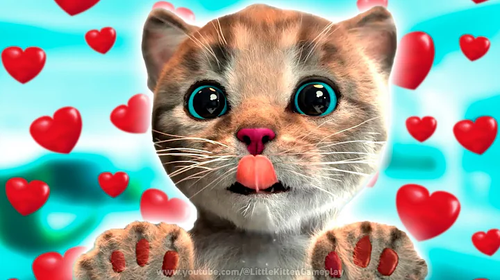 PLAYFUL LITTLE KITTEN ADVENTURE SPECIAL - FUN LITTLE KITTEN AND HIS ADVENTURE SPECIAL LONG JOURNEY