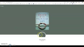 How to use the Sora Reading App