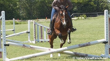 Smart Lectric Style - riding English on the flat and over jumps! - ValleyViewRanch.net