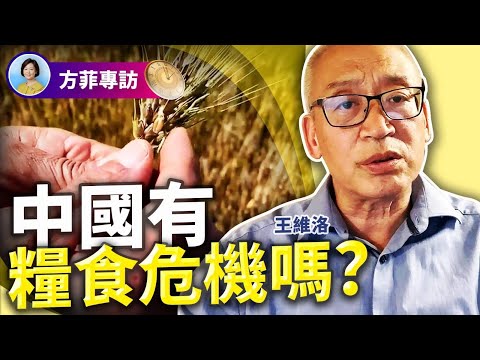 专访王维洛：中共统计局的粮食数据大幅虚报；对粮食危机担忧的一个误区；成都绿道被拆是因为中央要拿四川开刀；习近平“沙”字诀完全是空话 ｜ #方菲时间