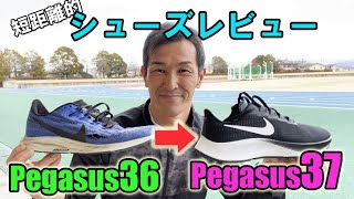 【短距離的】ペガサス37レビュー　NIKE ZOOM PEGASUS 37