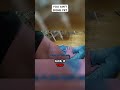 Out of Control Drunk Attacks Whole Family Before Police Arrive #bodycam #news #police