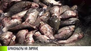 Незаконный улов: браконьеры на лимане